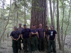 Cumberland Gap Wildland Fire Module including detailers at Congeree National Park posing in front of a larger tree.