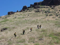 Firefighters doing hose lays up a hill near the subdivisions.