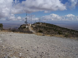 A picture of the communication sites before the prescribed burn.