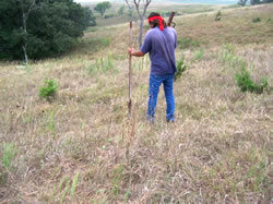 Larry Wright places first monitoring plot.