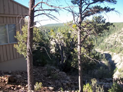 Area around a structure at the Walnut Canyon National Monument.