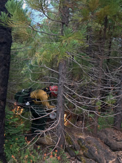 Firefighter igniting prescribed fire with a drip torch.