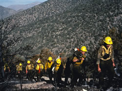 Firefighters with gear walking in single file along a fireline in forest.