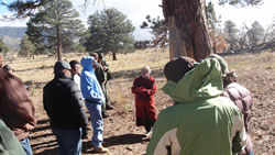 Dr. Adrienne Anderson retired NPS Archaeologist talking to tribal members at the scarred trees.