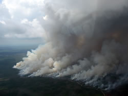 An aerial view of the Jarhead Fire.