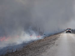 Simulation exercise.