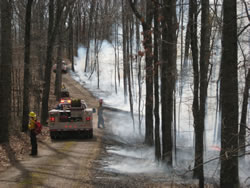 Engines from Natchez Trace and Big South Fork hold the fireline at the Old Trace Drive burn unit at Natchez Trace.