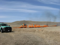 Fire crews and engines engaged in burning operations of the grasslands of Grant-Kohrs Ranch.