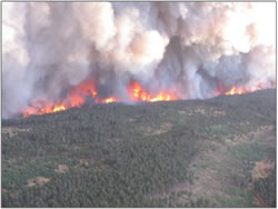 Fire moving across the Mesa top.