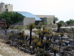 Burned area nearby visitor center.