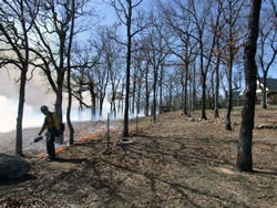 Firefighter lighting a prescribed burn with a drip torch in a hardwood forest.