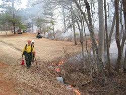 Members of the Cumberland Gap Wildland Fire Module conducting ignitions at Cowpens.