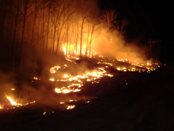 Nighttime fire behavior on the Saddleback burn at Kings Mountain.