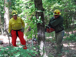 Two men, an instructor and student practicing chainsaw use techniques.