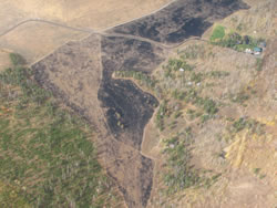 An immediate post-fire aerial photo.