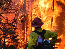 Burn Boss Trainee Jon White observes a hot pocket of firs and deadfall burn during the prescribed fire.