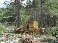 Bulldozer preparing an area for aspen regeneration.
