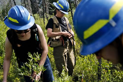 Alaska Fire Science Consortium 2011 fire ecologist and artists at the Horseshoe Lake Fire.