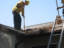 Firefighers raking and removing pine needles on a rooftop.