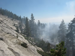 The Cascade fire burned in a remote location with natural barriers, and sparse fuels.