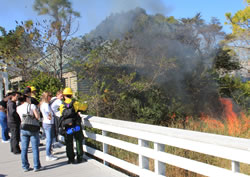 Public information officer Katie Budzinski discusses the Headquarters prescribed fire with park visitors.