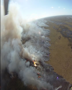 Aerial view of the prescribed fire burning as taken from a helicopter.