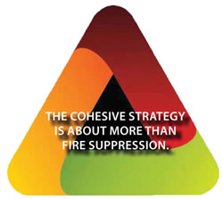Graphic: The Cohesive Strategy is About More than Fire Suppression.