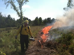 Devin Randall from Saratoga NHP used a drip torches for firing operations.