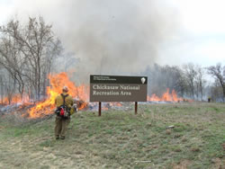 Firefighter watching burn at the south boundary of the park.