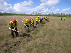 Students in S130/190 practice digging fireline at Everglades National Park.