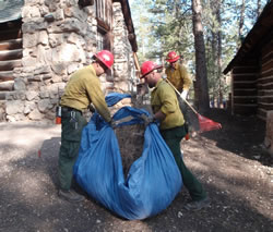 Saguaro Wildland Fire Module members Jay Yancick, Kevin Norton, and Jason Thivener clearing heavy needle cast away from buildings.